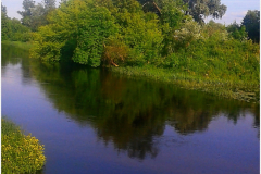 Река Лесная в микрорайоне "Дубровка"