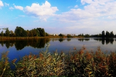 Озеро среднее Сои.