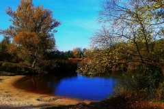 Малые озера  вдоль реки  Западный Буг.